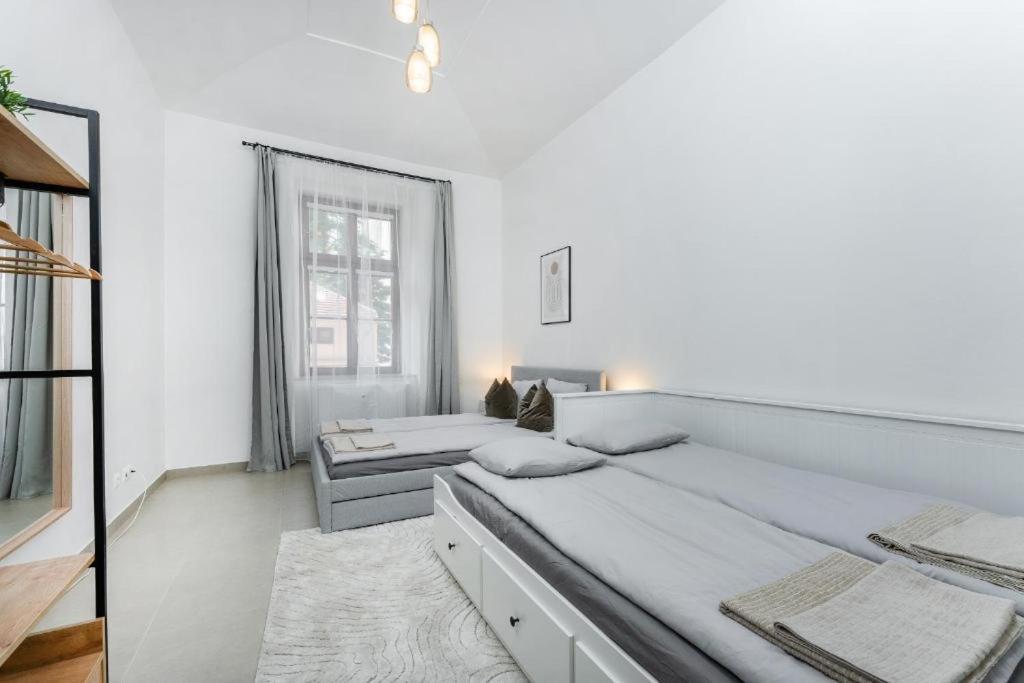 Nice Apartman In New Town * Praag
